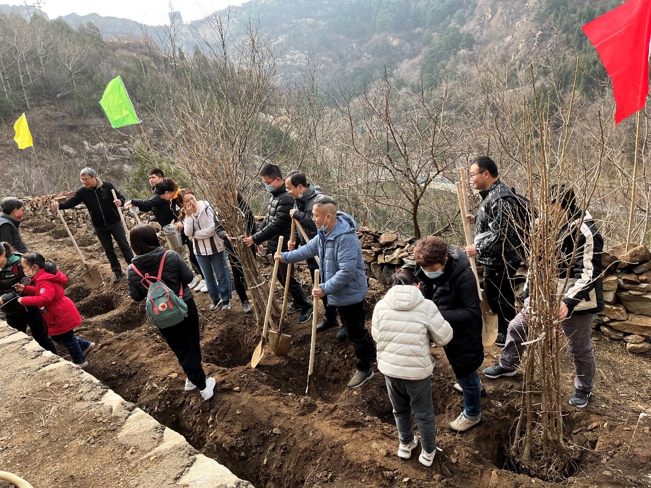 植一片绿色 守护绿水青山 —— 北京伟德体育竞彩开展志愿者植树活动