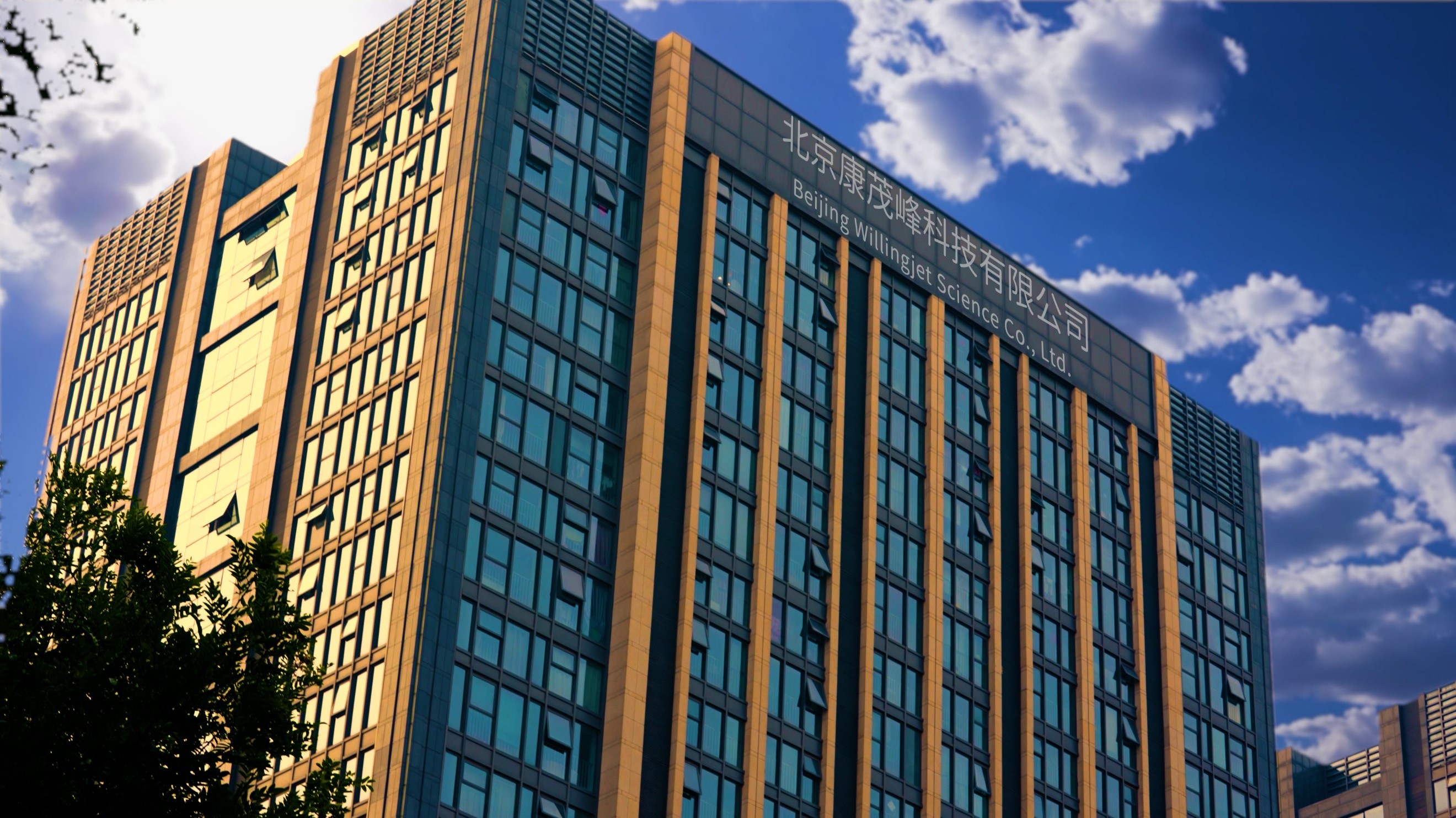 伟德体育竞彩开发智能打印助手 全面提升注册资料打印业务效能