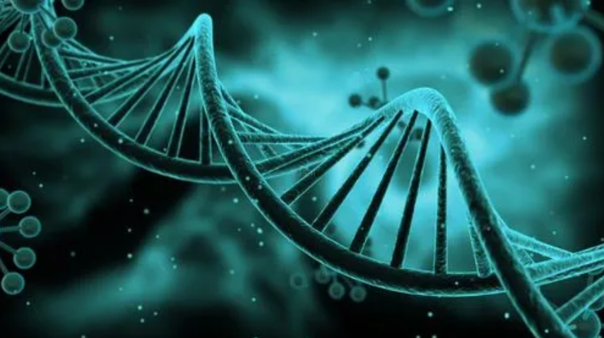 生物技术翻译需要关注哪些要点?