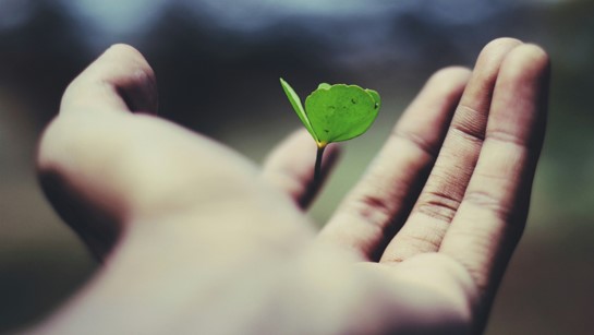 伟德体育竞彩医学翻译解读CDE发布的《关于试行以网络传输方式提交药品注册电子申报资料的通知》
